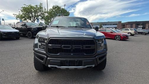 Magnetic Metallic 2018 Ford F-150 Raptor