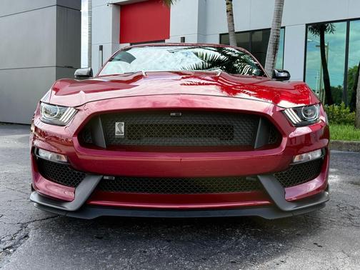 Ruby Red Metallic Tinted Clearcoat 2019 Ford Shelby GT350 Base