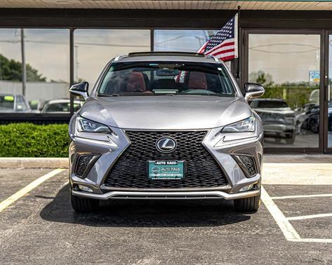 Nebula Gray Pearl 2019 Lexus NX 300 F Sport