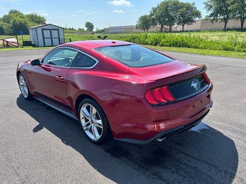 Ruby Red Metallic 2019 Ford Mustang EcoBoost Premium