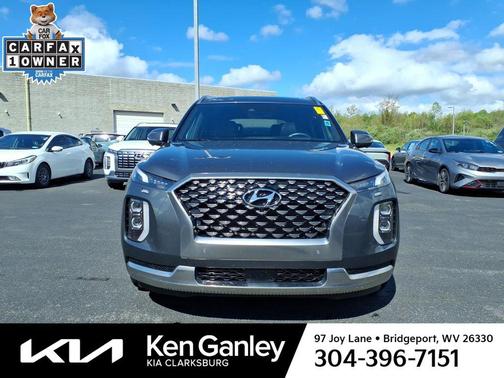 Rainforest 2022 Hyundai PALISADE Calligraphy