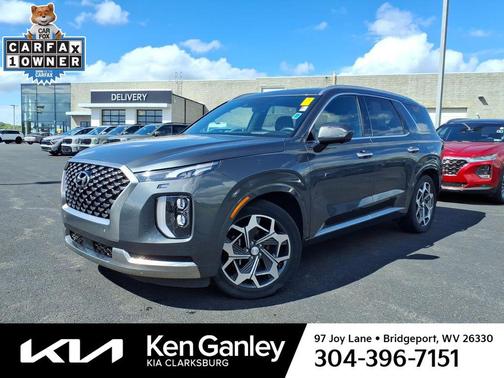 Rainforest 2022 Hyundai PALISADE Calligraphy
