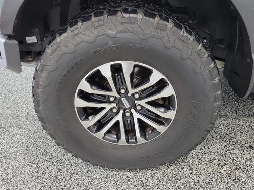 Blue Metallic 2019 Ford F-150 Raptor
