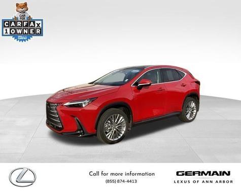 2025 Lexus NX 350 Luxury