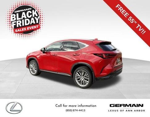 2025 Lexus NX 350 Luxury