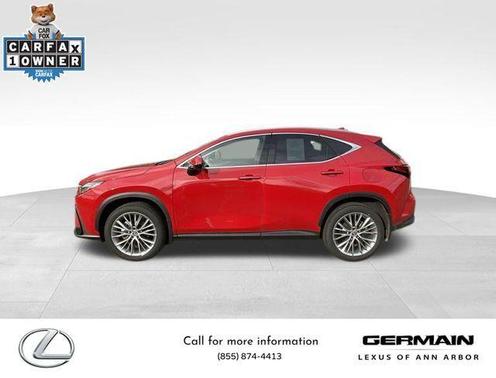 2025 Lexus NX 350 Luxury