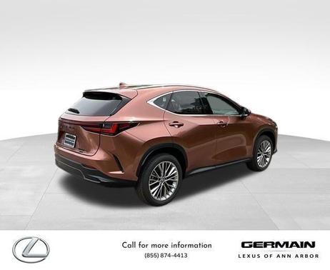 2025 Lexus NX 350 Luxury