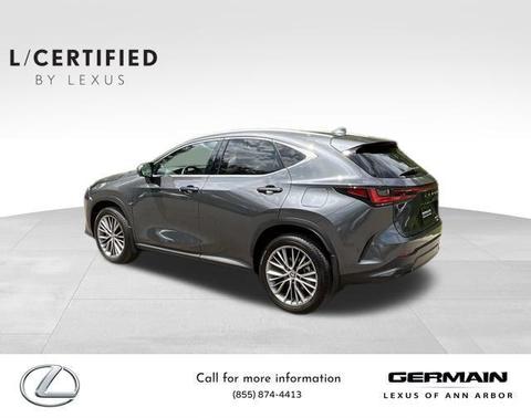 2025 Lexus NX 350h Premium