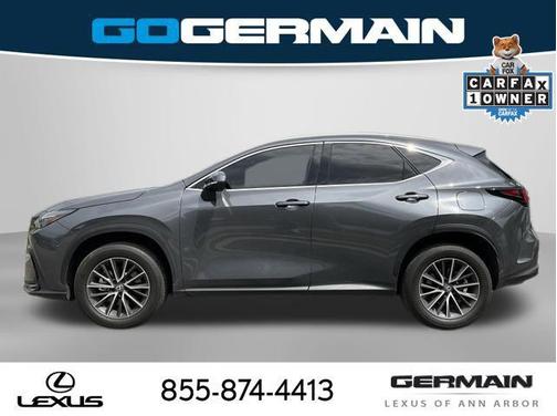 Cloudburst Gray 2025 Lexus NX 350h Premium