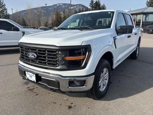 OXFORD WHITE 2025 Ford F-150 XL