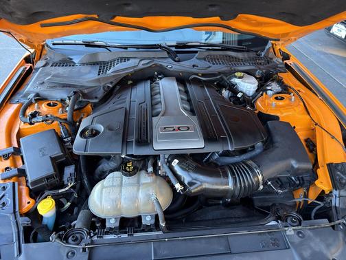 2019 Ford Mustang GT