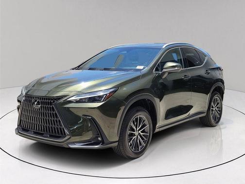 Green Pearl 2024 Lexus NX 250 Premium