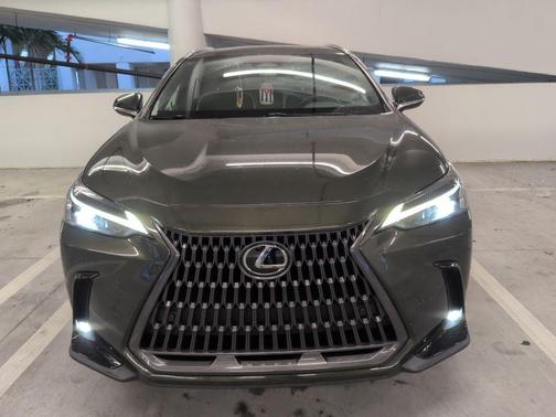 Green Pearl 2024 Lexus NX 250 Premium