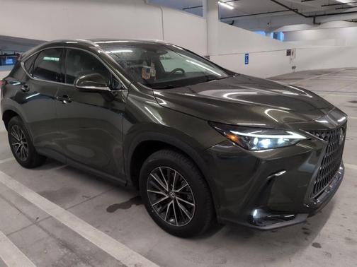 Green Pearl 2024 Lexus NX 250 Premium