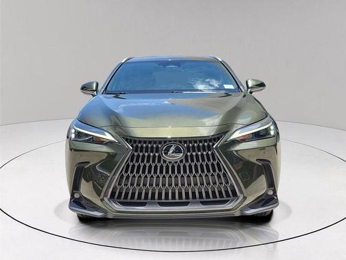 Green Pearl 2024 Lexus NX 250 Premium