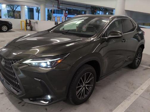 Green Pearl 2024 Lexus NX 250 Premium