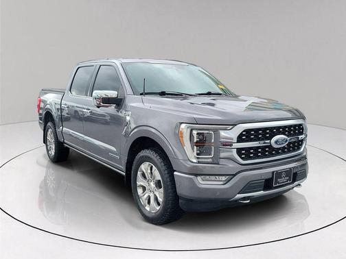 Gray Metallic 2021 Ford F-150 Platinum