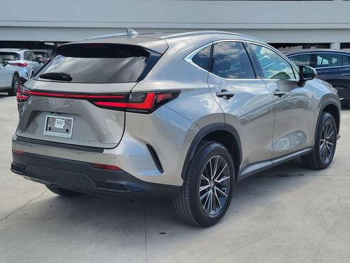 Gray 2024 Lexus NX 250 Premium