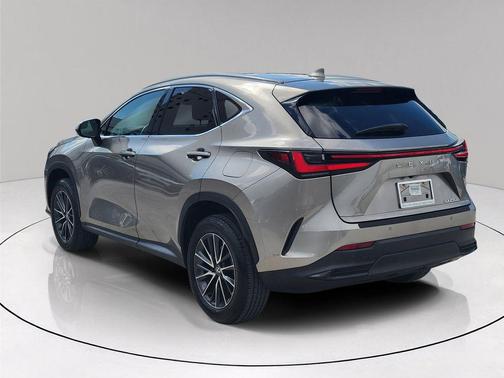 Gray 2024 Lexus NX 250 Premium