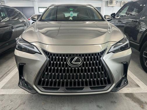 2024 Lexus NX 250 Premium