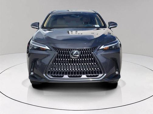 2025 Lexus NX 250 Premium