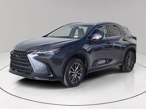 2025 Lexus NX 250 Premium