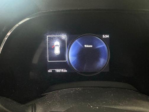 Iridium 2024 Lexus RX 350 350
