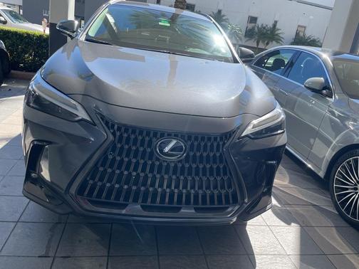 2024 Lexus NX 250 Base