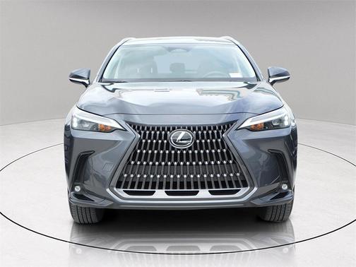 2024 Lexus NX 250 Base