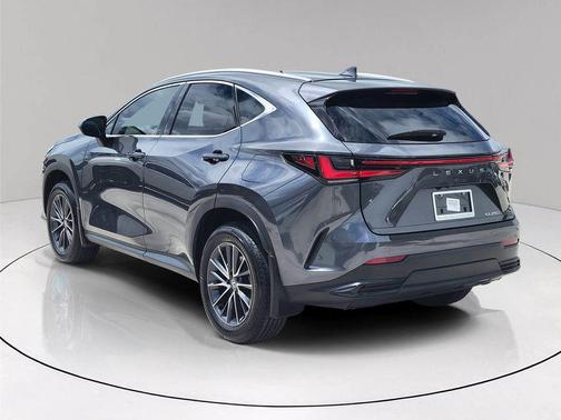 2025 Lexus NX 250 Premium
