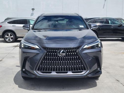 2025 Lexus NX 250 Premium