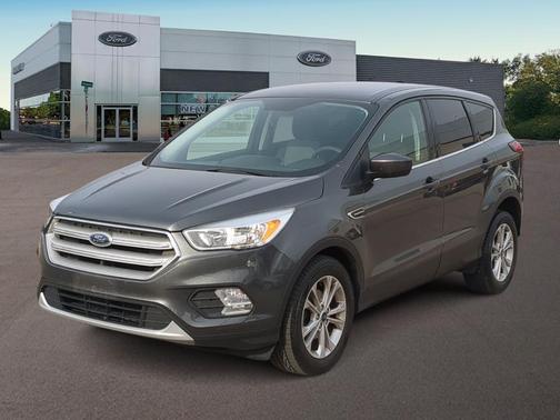 Magnetic Metallic 2019 Ford Escape SE