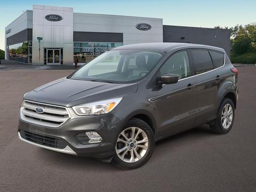 Magnetic Metallic 2019 Ford Escape SE
