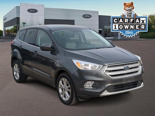 Magnetic Metallic 2019 Ford Escape SE