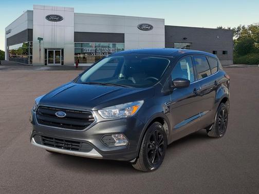 Magnetic Metallic 2019 Ford Escape SE