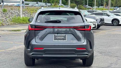 Cloudburst Gray 2025 Lexus NX 350 Premium
