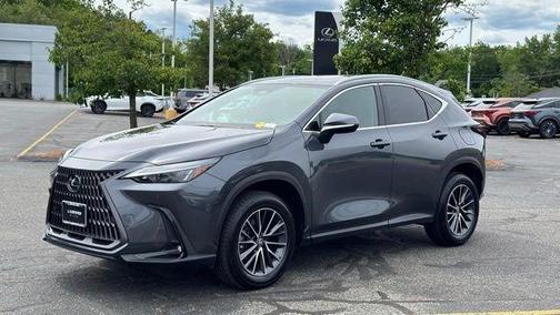 Cloudburst Gray 2025 Lexus NX 350 Premium