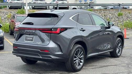 Cloudburst Gray 2025 Lexus NX 350 Premium