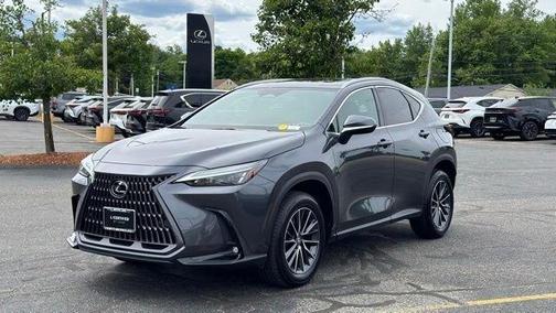 Cloudburst Gray 2025 Lexus NX 350 Premium
