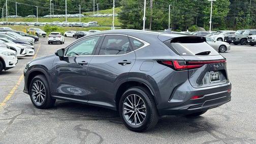 Cloudburst Gray 2025 Lexus NX 350 Premium