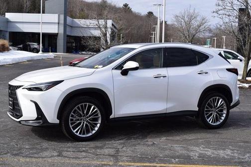 2025 Lexus NX 350 Premium