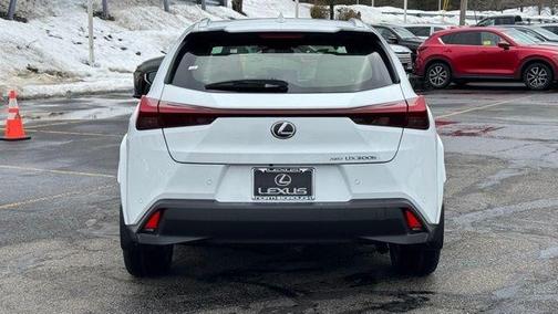 2026 Lexus UX 300h 