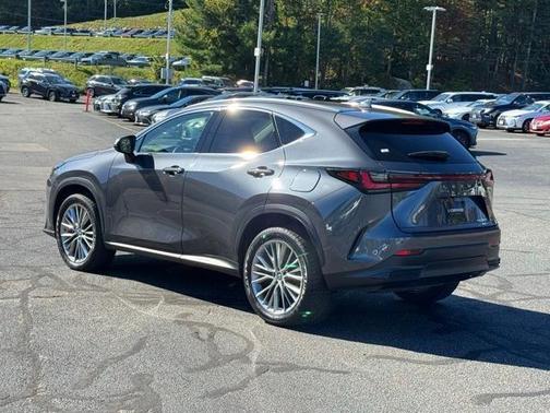 2023 Lexus NX 350 Luxury