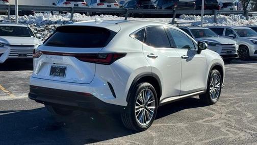 2025 Lexus NX 350 Luxury