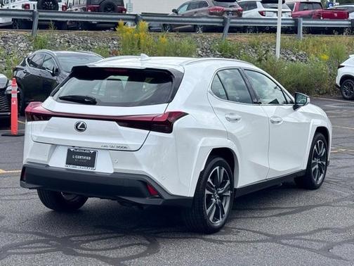 2025 Lexus UX 300h 300H