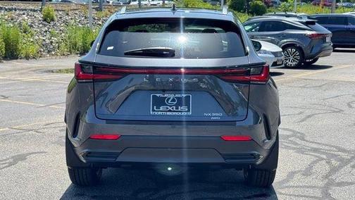 Cloudburst Gray 2026 Lexus NX 350 Luxury
