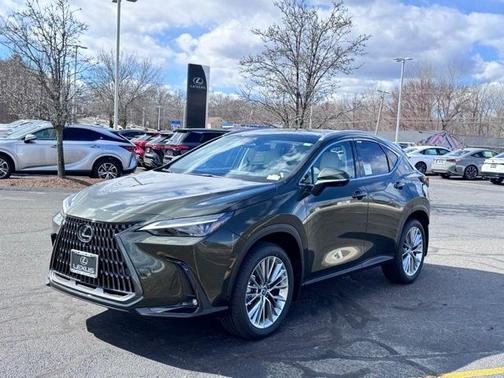 2025 Lexus NX 350 Luxury