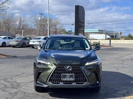 2025 Lexus NX 350 Luxury