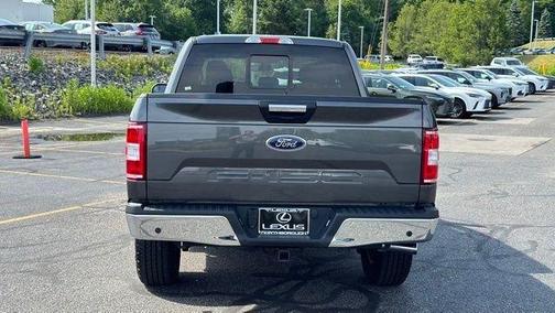 Magnetic 2019 Ford F-150 XLT