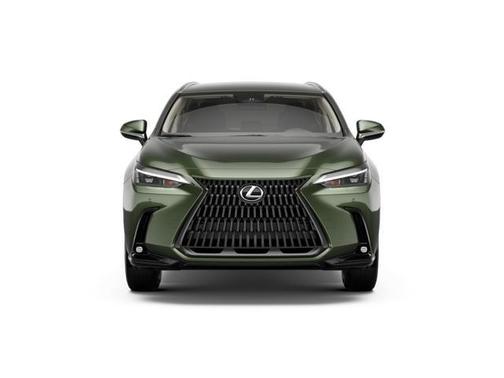 Nori Green Pearl 2026 Lexus NX 350 Base
